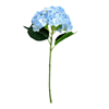 hortencia_azul_claro_bela_flor
