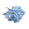 hortencia_azul_claro_bela_flor_2