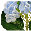 hortencia_azul_claro_bela_flor_3