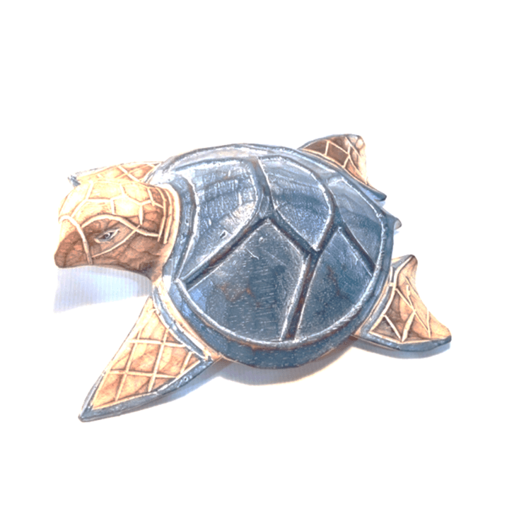 tartaruga_mesa_P_patina_batuan tartaruga_mesa_P_patina_batuan