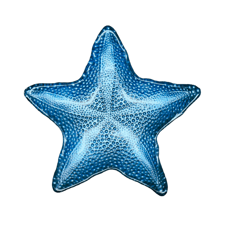 centro_de_mesa_estrela_do_mar_azul_vylux_38466_1 centro_de_mesa_estrela_do_mar_azul_vylux_38466_1