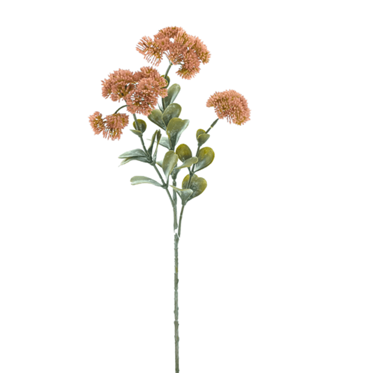flores-rosa