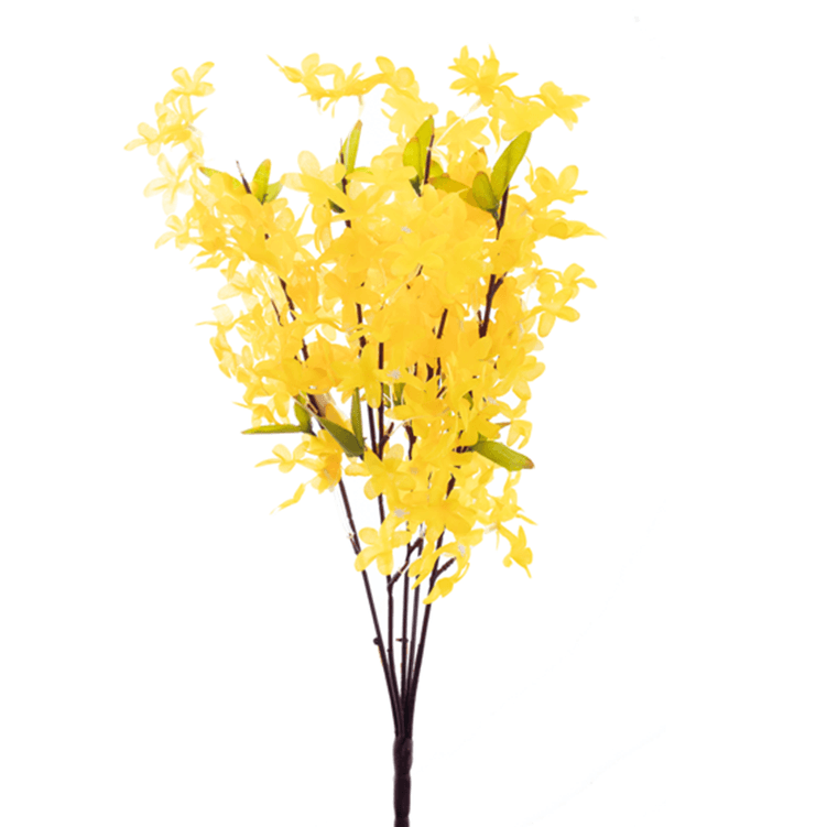 flor-do-campo-amarela flor-do-campo-amarela