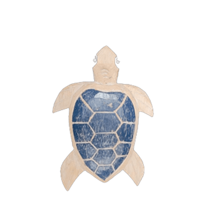 tartaruga-11