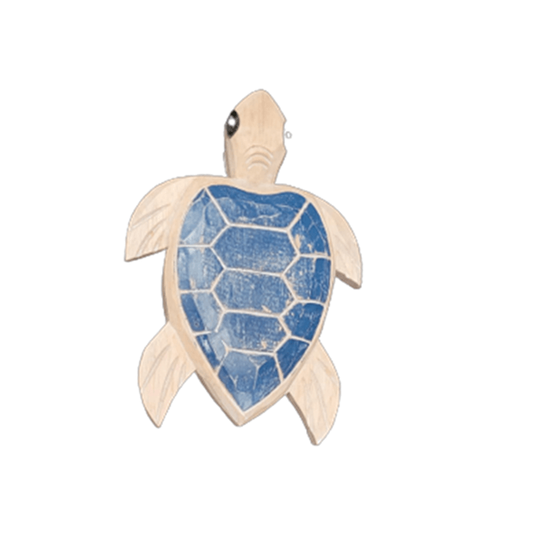 tartaruga-1
