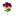 buque_peonia_com_flor_do_campo_bela_flor