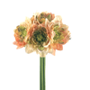 ramalhete_dalia_flores_rosa_bela_flor