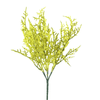 buque_barba_de_velho_amarelo_bela_flor