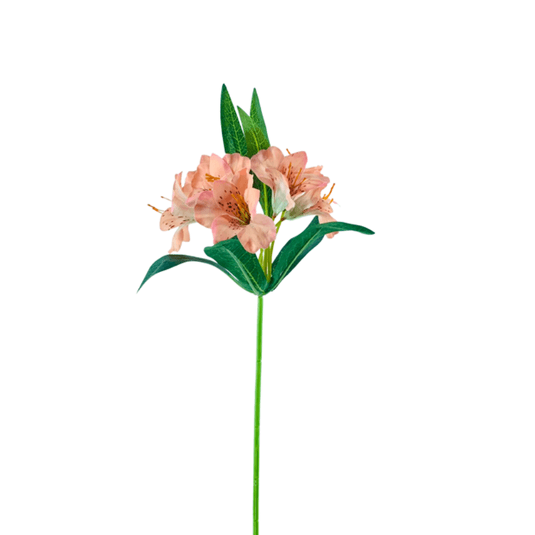 haste_astromelia_salmon_46cm_bela_flor haste_astromelia_salmon_46cm_bela_flor