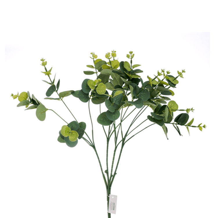 buque_eucalipto_42cm_bela_flor buque_eucalipto_42cm_bela_flor