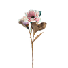 haste_magnolia_75cm_bela_flor