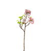 haste_magnolia_rosa_65cm_bela_flor