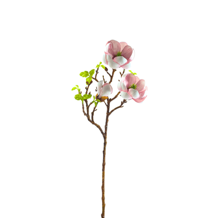 haste_magnolia_rosa_65cm_bela_flor