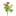 buque_cravina_com_flor_do_campo_30cm_bela_flor