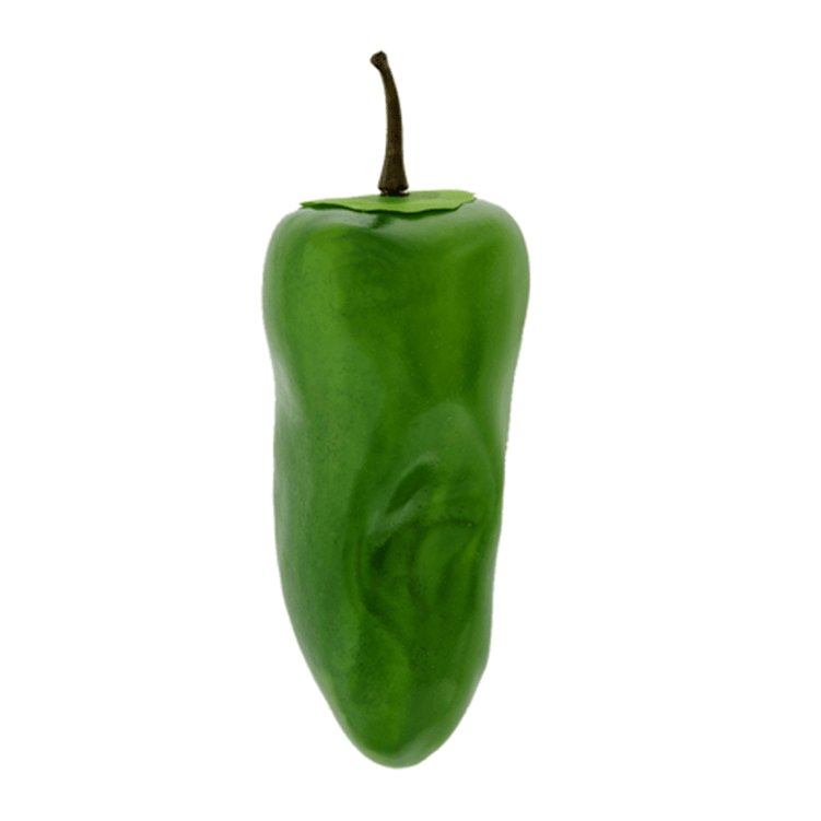 pimentao_verde_artificial_grillo