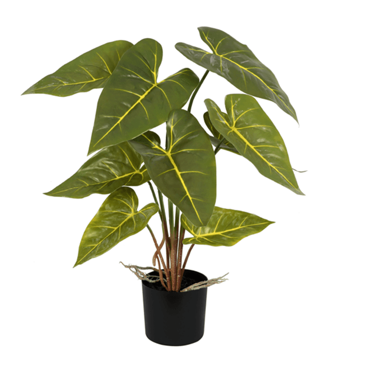 planta_artificial_real_toque_imbe_grillo