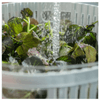 centrifuga_de_salada_clear_fresh_branco_55litros_ou_2