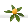Argola_Guardanapo_Juliet_Petit_Siciliano_4_Pecas_Copa_-_Cia_43970--4-