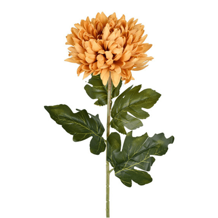 haste_crisantemo_amarelo_grillo_46083_1.png haste_crisantemo_amarelo_grillo_46083_1.png