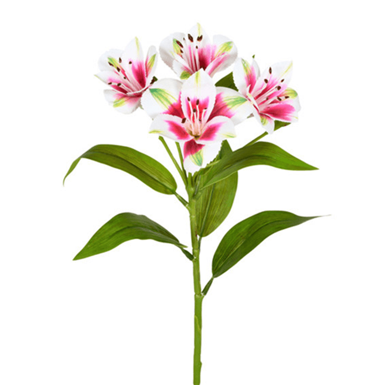 haste_amarilis_spray_rosa_e_branco_grillo_46088_1.png haste_amarilis_spray_rosa_e_branco_grillo_46088_1.png