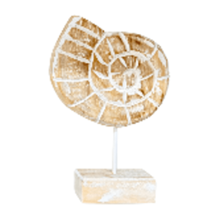 Enfeite-Concha-Caracol---Utilglass.png Enfeite-Concha-Caracol---Utilglass.png