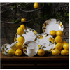 prato_raso_bio_limonata_27,5cm_porto_brasil_4