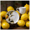 xicara_de_cafe_bio_limonata_porto_brasil_2