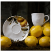 xicara_de_cha_bio_limonata_porto_brasil_2