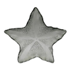 petisqueira_estrela_do_mar_verde_M_28cm_entrecasa
