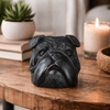 escultura_cabeca_de_bulldog_em_resina_14cm_entrecasa_3