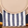 guardanapo_eco_listras_marinho_45x45_copaecia--1-