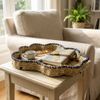 CESTA_MARINE_G_TUUT--3-