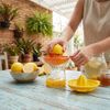 ESPREMEDOR_LARANJA_2EM1_OXO_MCASSAB--3-