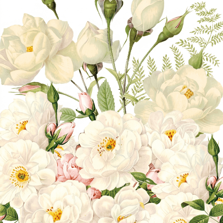 GUARDANAPO_ROSES_BLANCS_33X33CM_TULIP_GALLERY